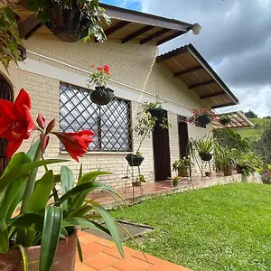 Hermosa Villajovi Con Piscina Privada Villa